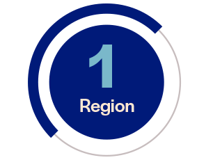 image saying 1 region