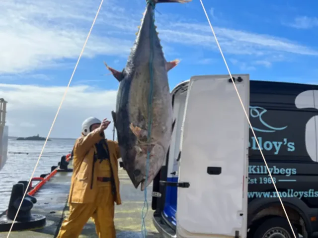 Man stands beside large fish