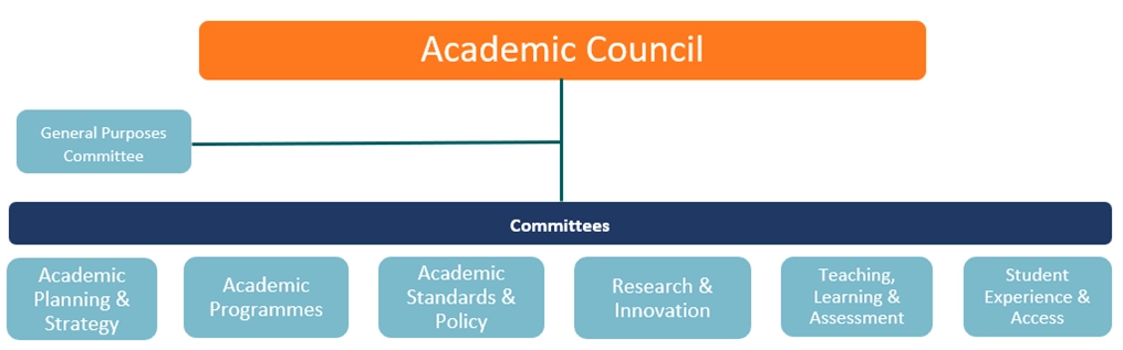 QA Academic Council Flow Diagram