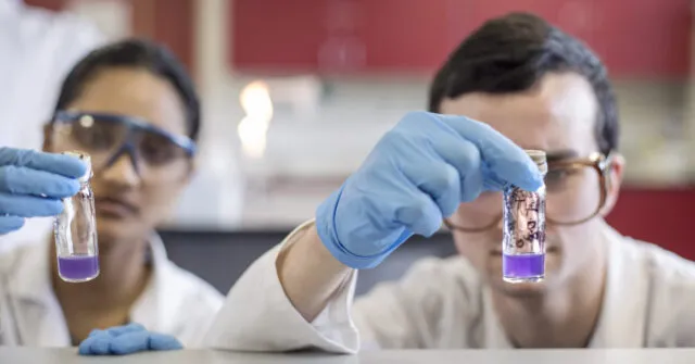 two students hands in focus holding test tubes with purple liquid