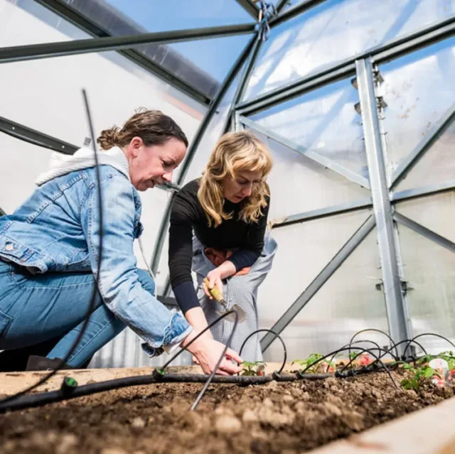 Two female students in a green house attending to plants