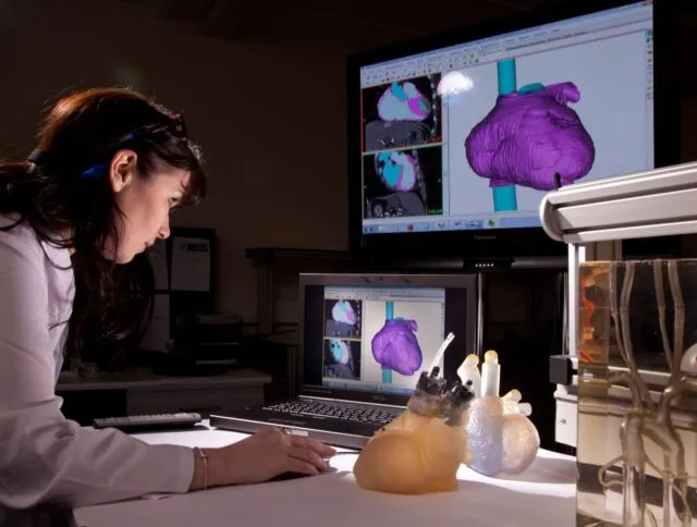 Researcher studying a heart displayed on a screen