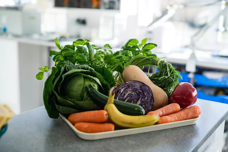 A tray containing a variety of fresh vegetables and fruits, including a head of cabbage, carrots, a banana, red bell pepper, leafy greens, and a butternut squash.