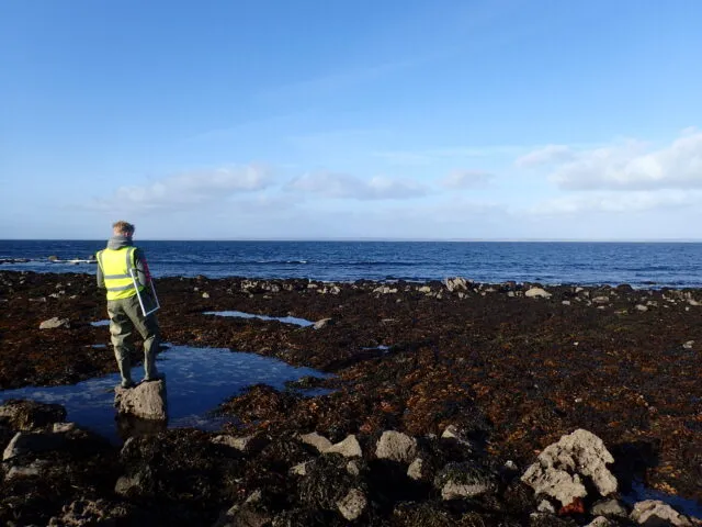 Researcher standing in front of ocean