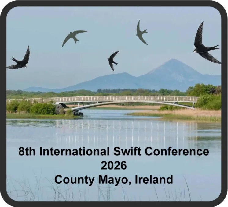 Swift conference logo
