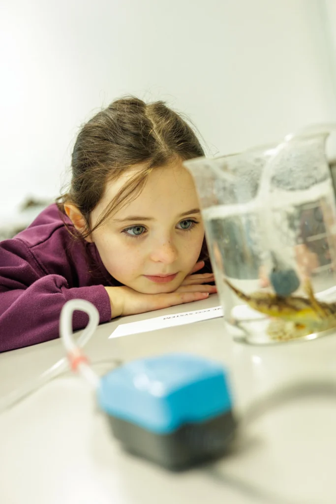 Sophia O’Connell, 7 years old, Sligo. 