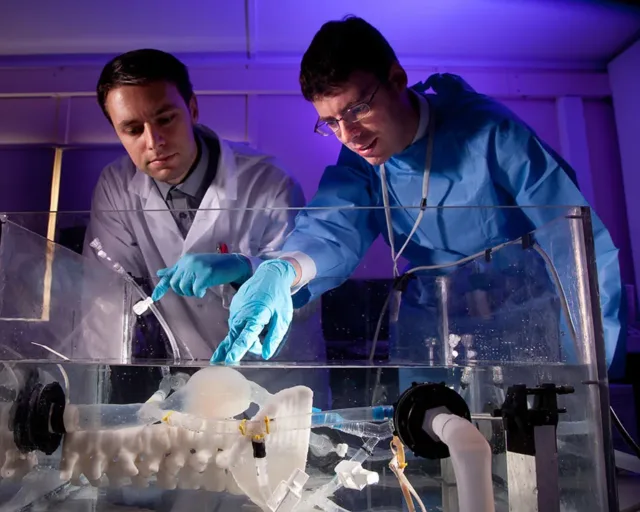Two men wearing blue gloves looking at a piece of plastic submerged in water.