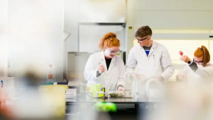 Generic Image of ATU Researchers