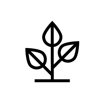 Icon of a plant with three leaves
