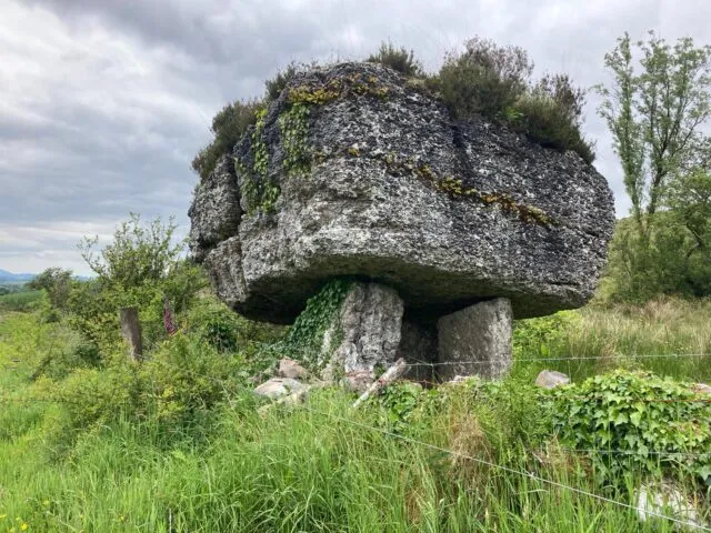 Prehistoric Archaeology of Ireland and Europe