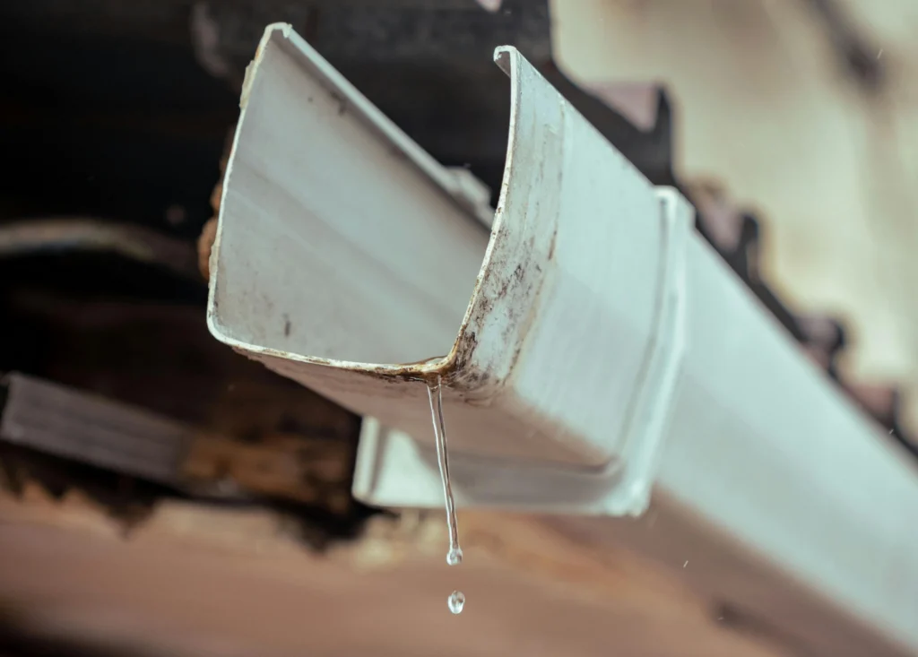 Early modelling simulations predict that up to a third of roof rainfall could be intercepted at source.