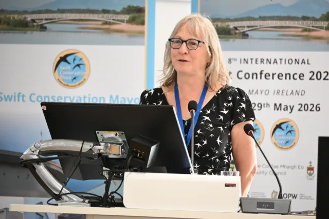 Lynda Huxley, founder of Swift Conservation Ireland/Mayo at the opening of the 8th International Swift Conference.
