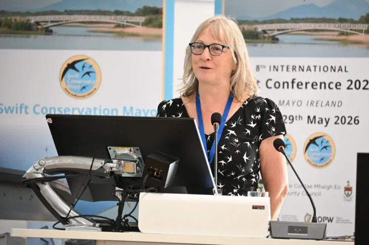 Lynda Huxley, founder of Swift Conservation Ireland/Mayo at the opening of the 8th International Swift Conference.