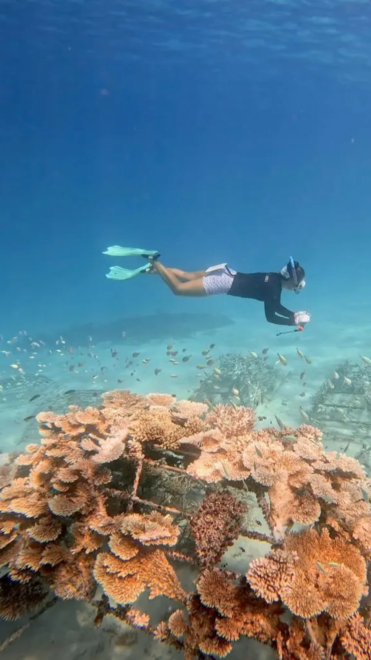 Katelyn planting coral reefs