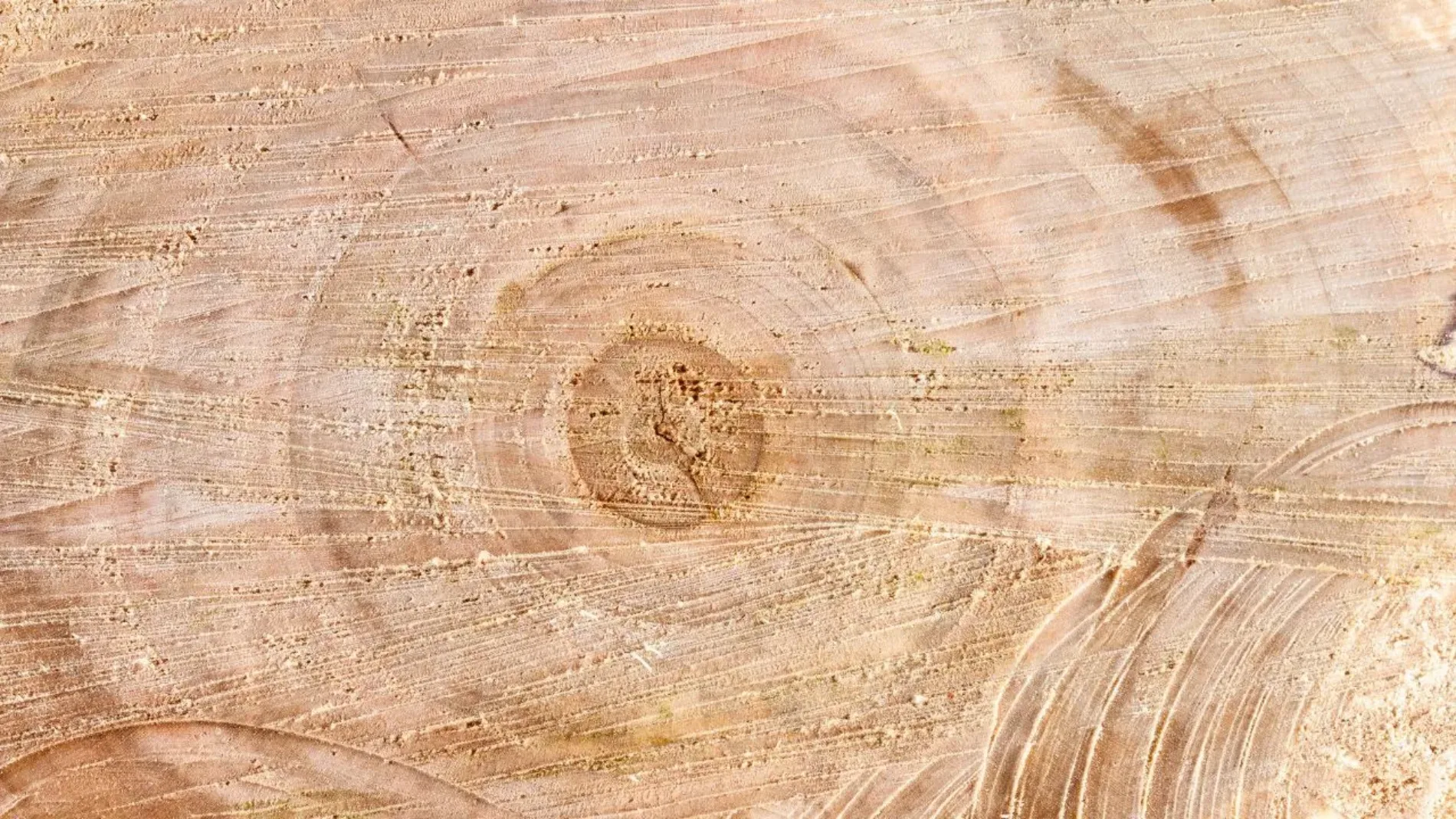 Timber
