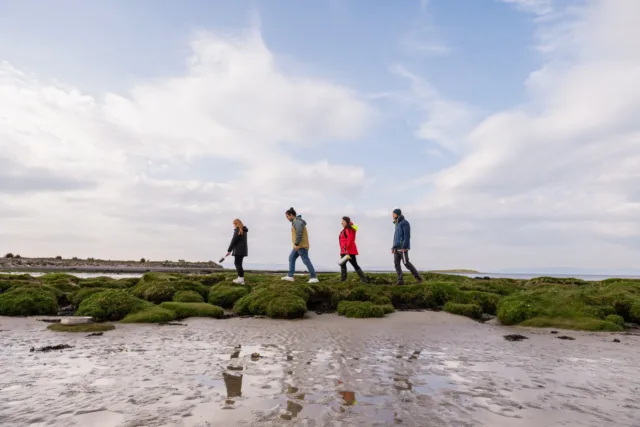 researchers walking along beach