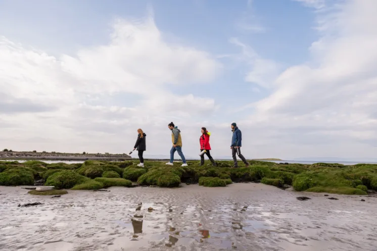 researchers walking along beach