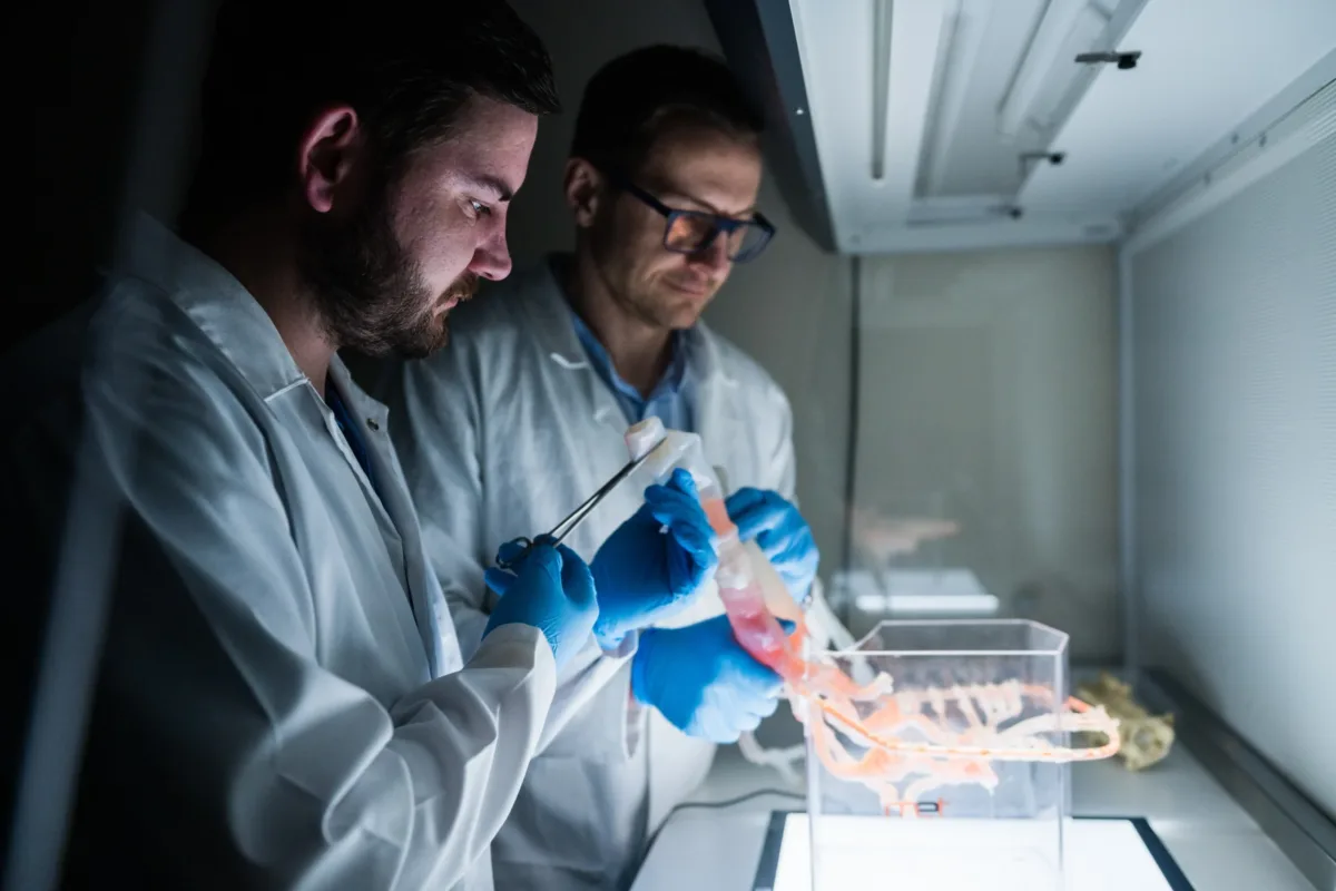 Two researchers examining plastic body parts in a tank