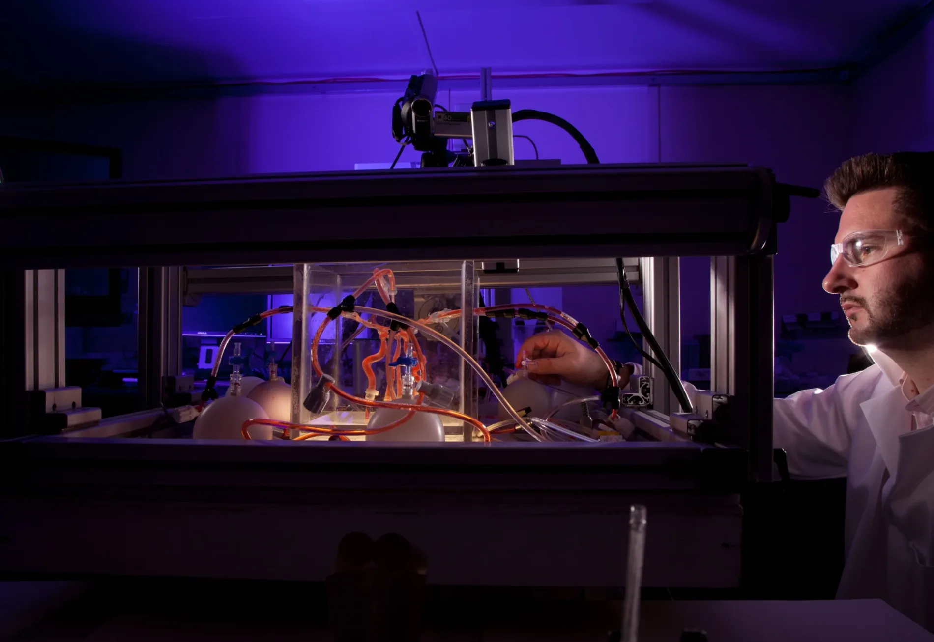 Image of a researcher studying a fake plastic body part in a tank