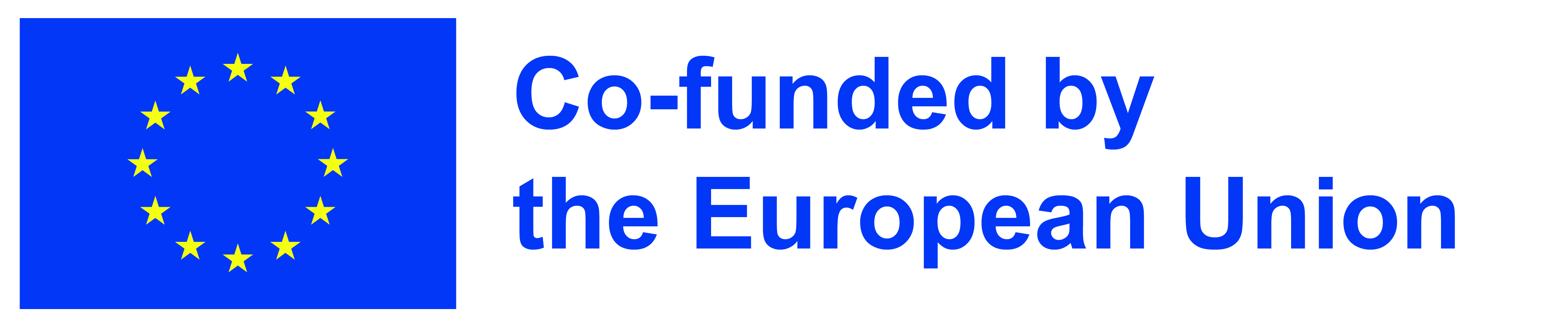 Co-funded by the EU_